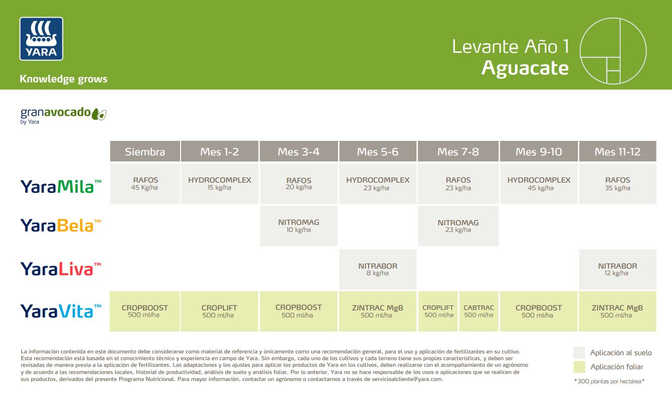 Plan Nutricional para Aguacate Año 1 