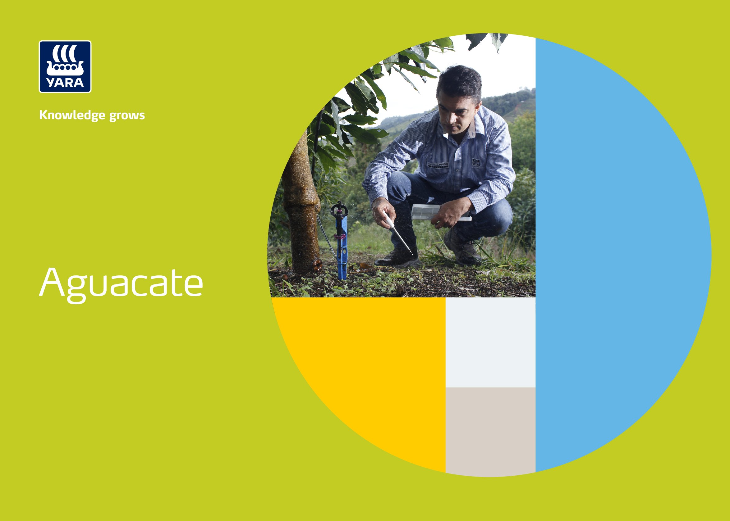 Aguacate Fertirriego