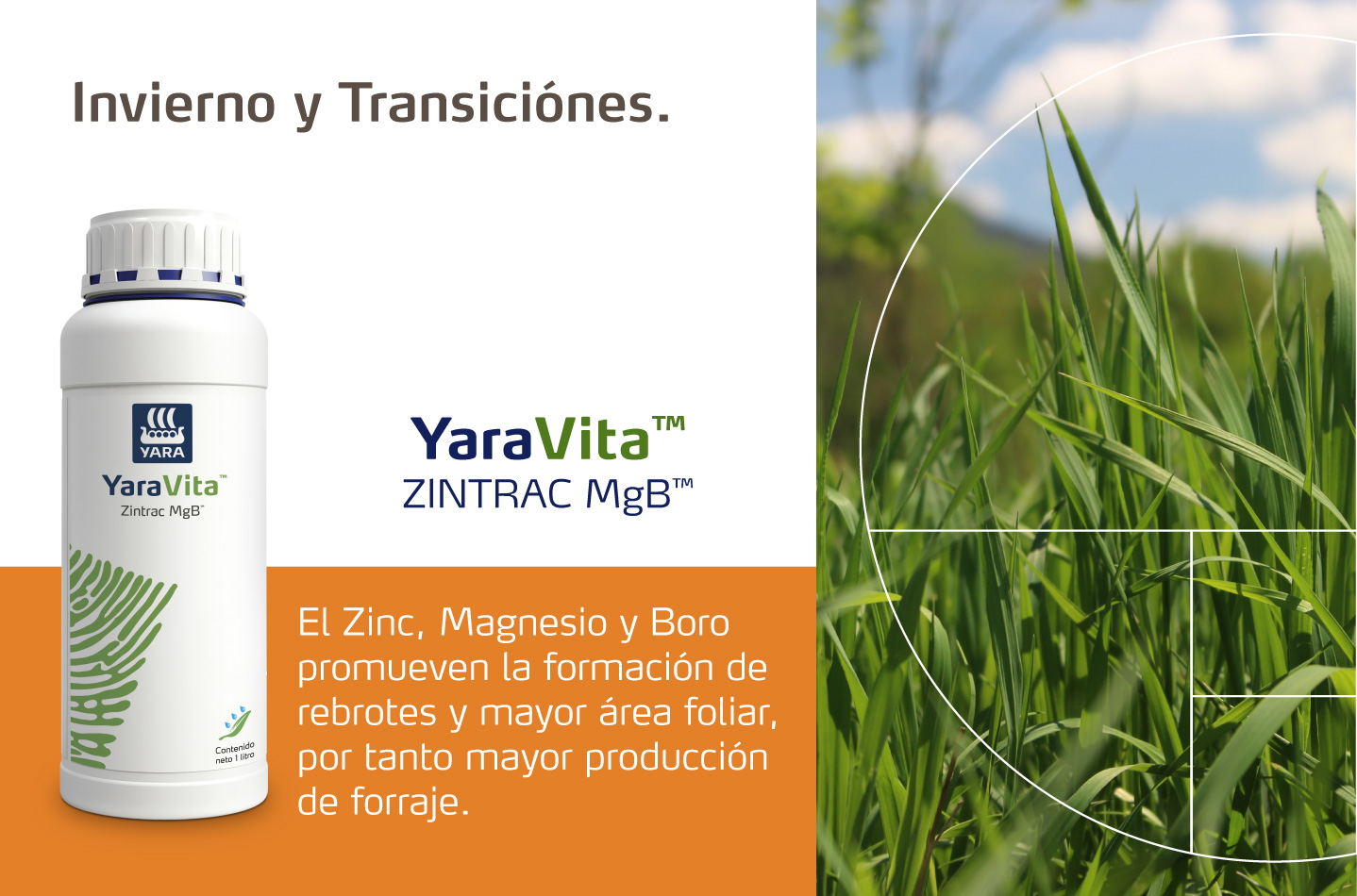 inv y trans 2