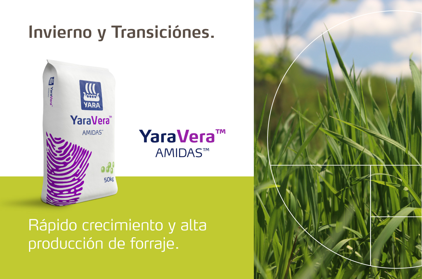 Invierno y trancisiones