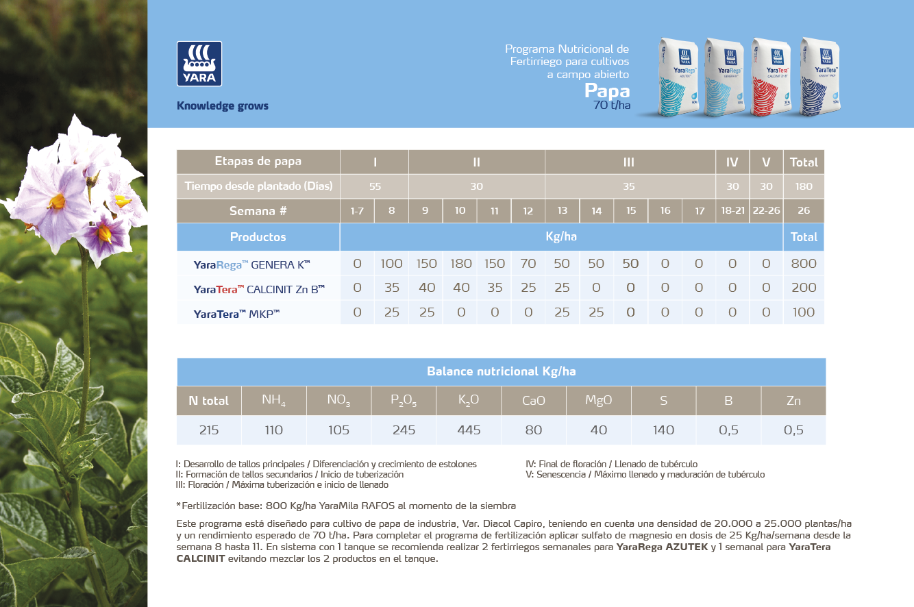 Programa Nutricional Papa Fertirriego
