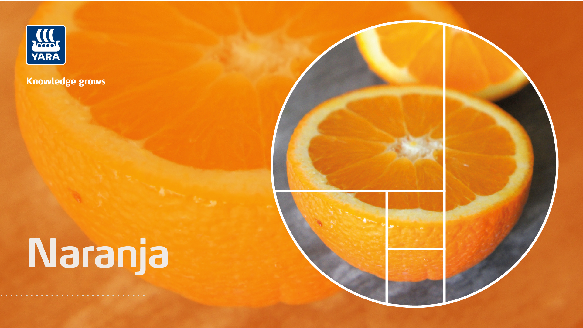 naranja