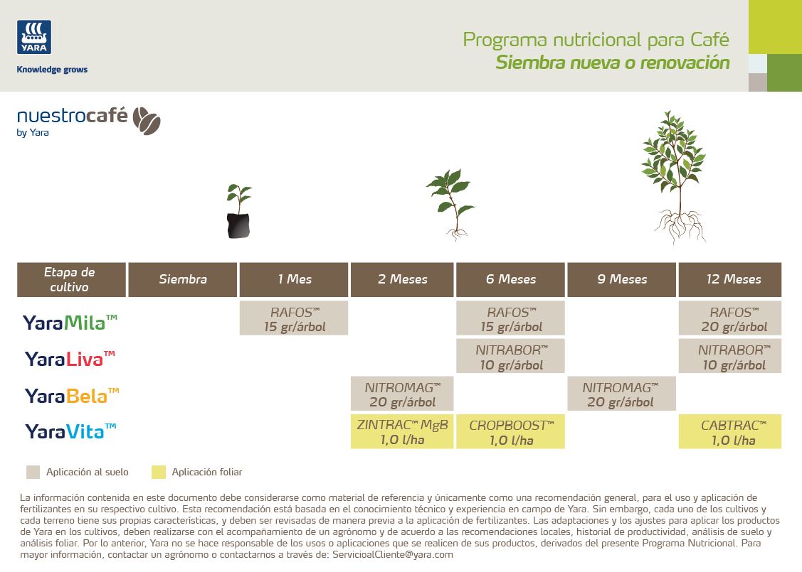 Programa de Nutrición Café