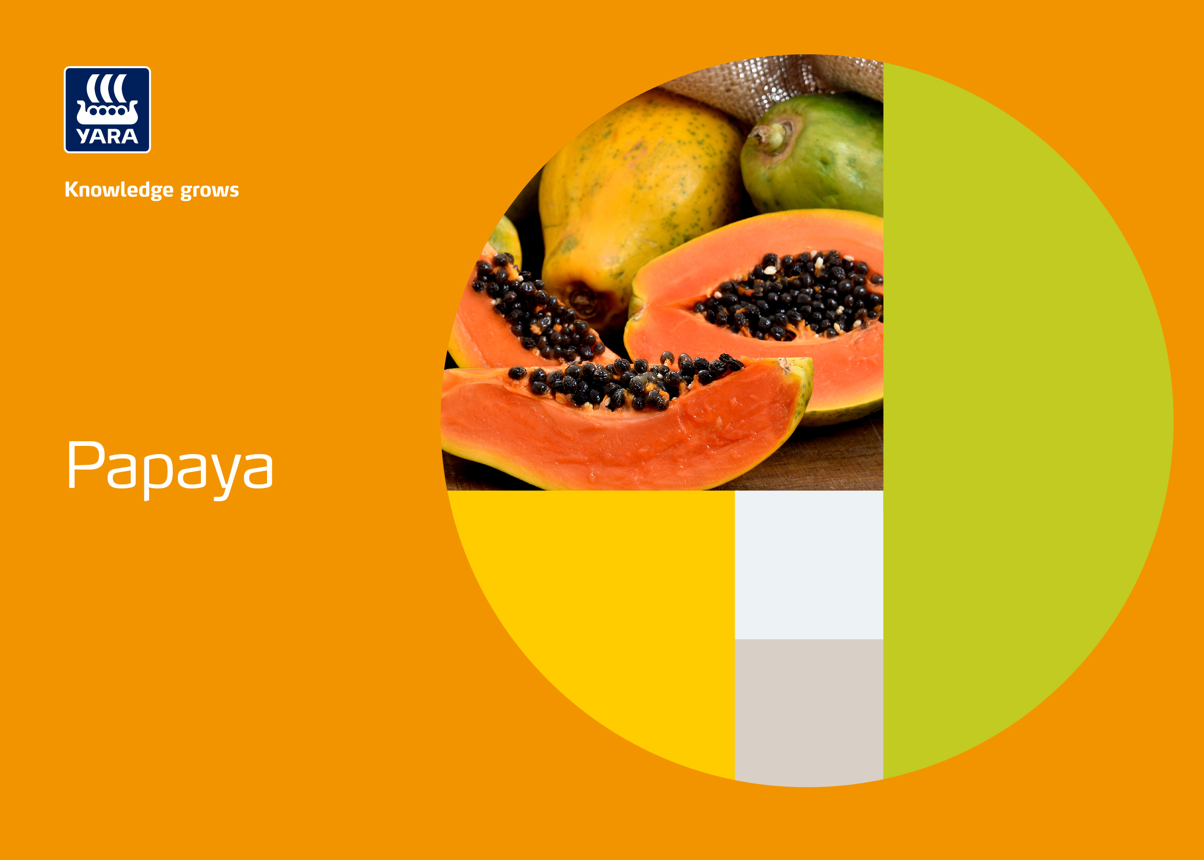 Papaya