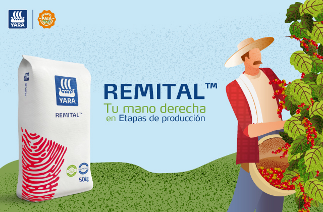 REMITAL