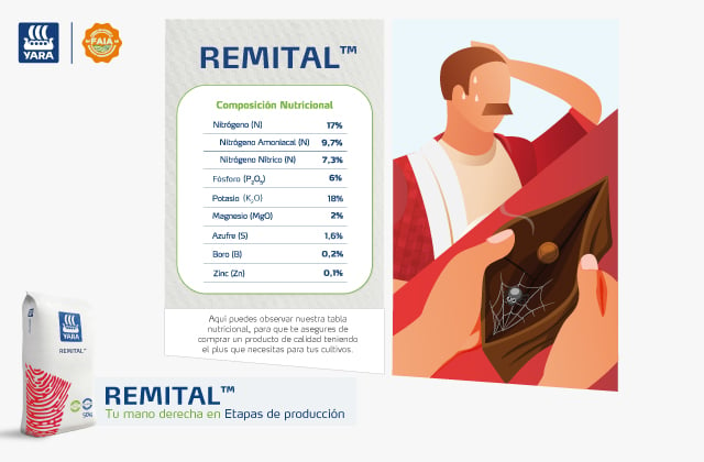 REMITAL