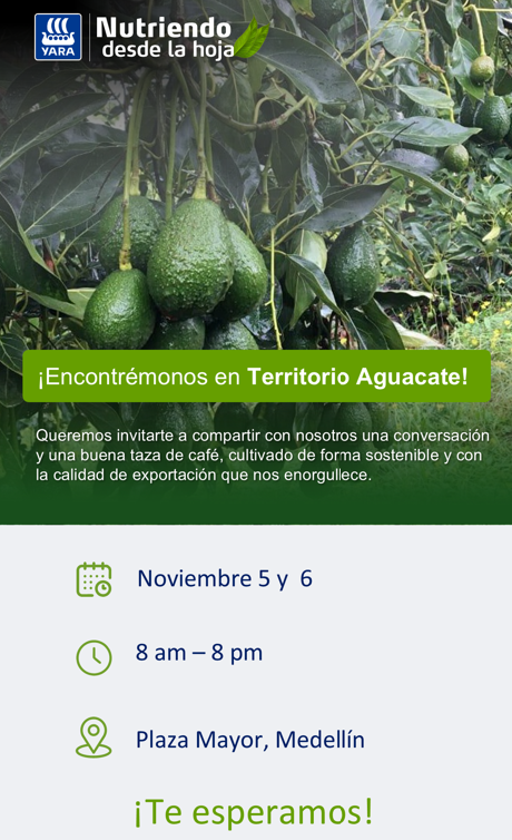 Territorio Aguacate