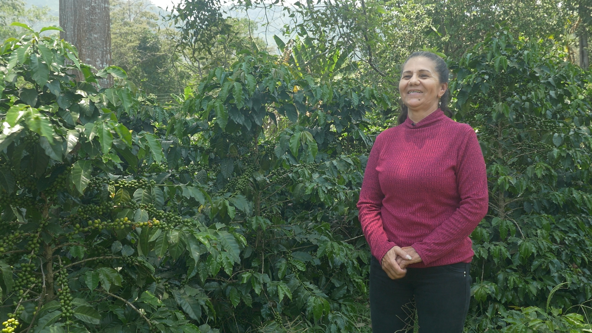 Mujeres cafeteras Huila