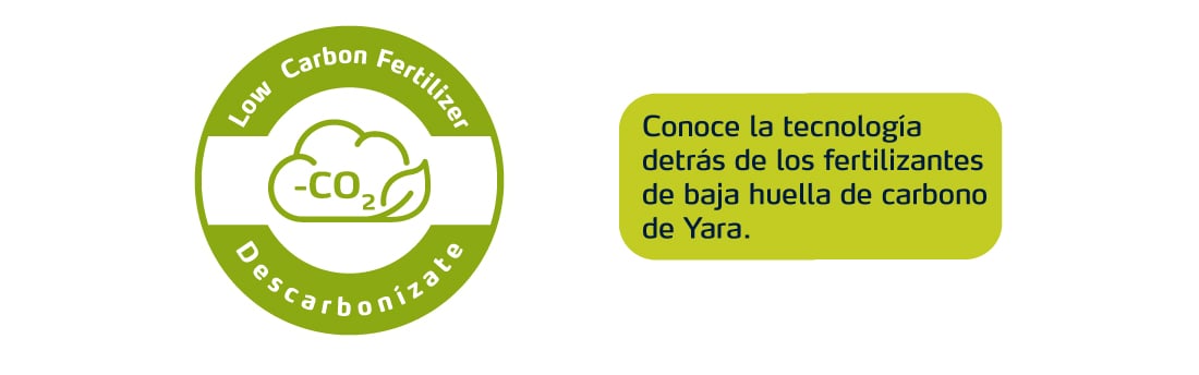 Conoce sobre los fertilizantes Yara de baja huella de carbono