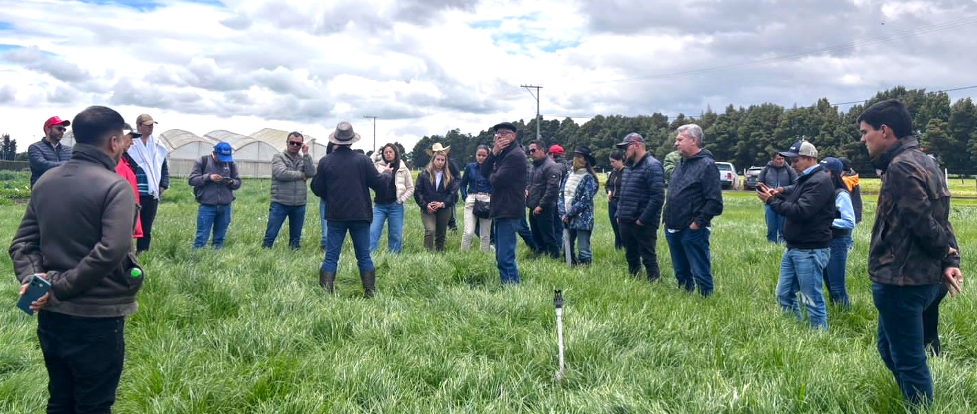 Transferencia de conocimiento Yara.