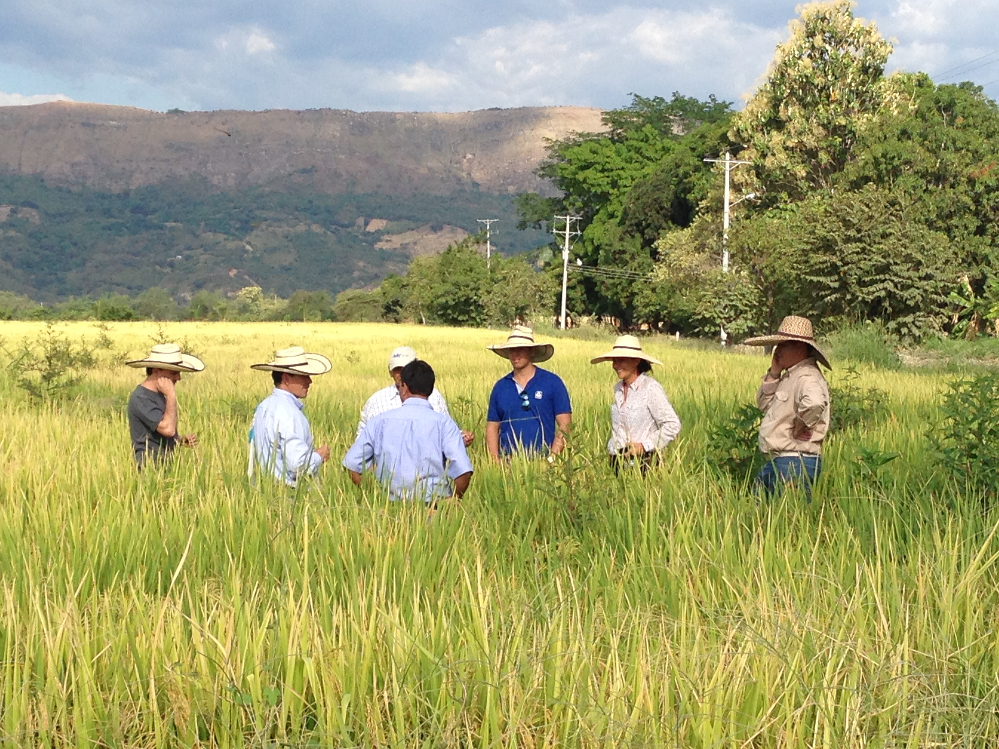 Agricultores colombianos beneficiados por la alianza BBVA - Yara