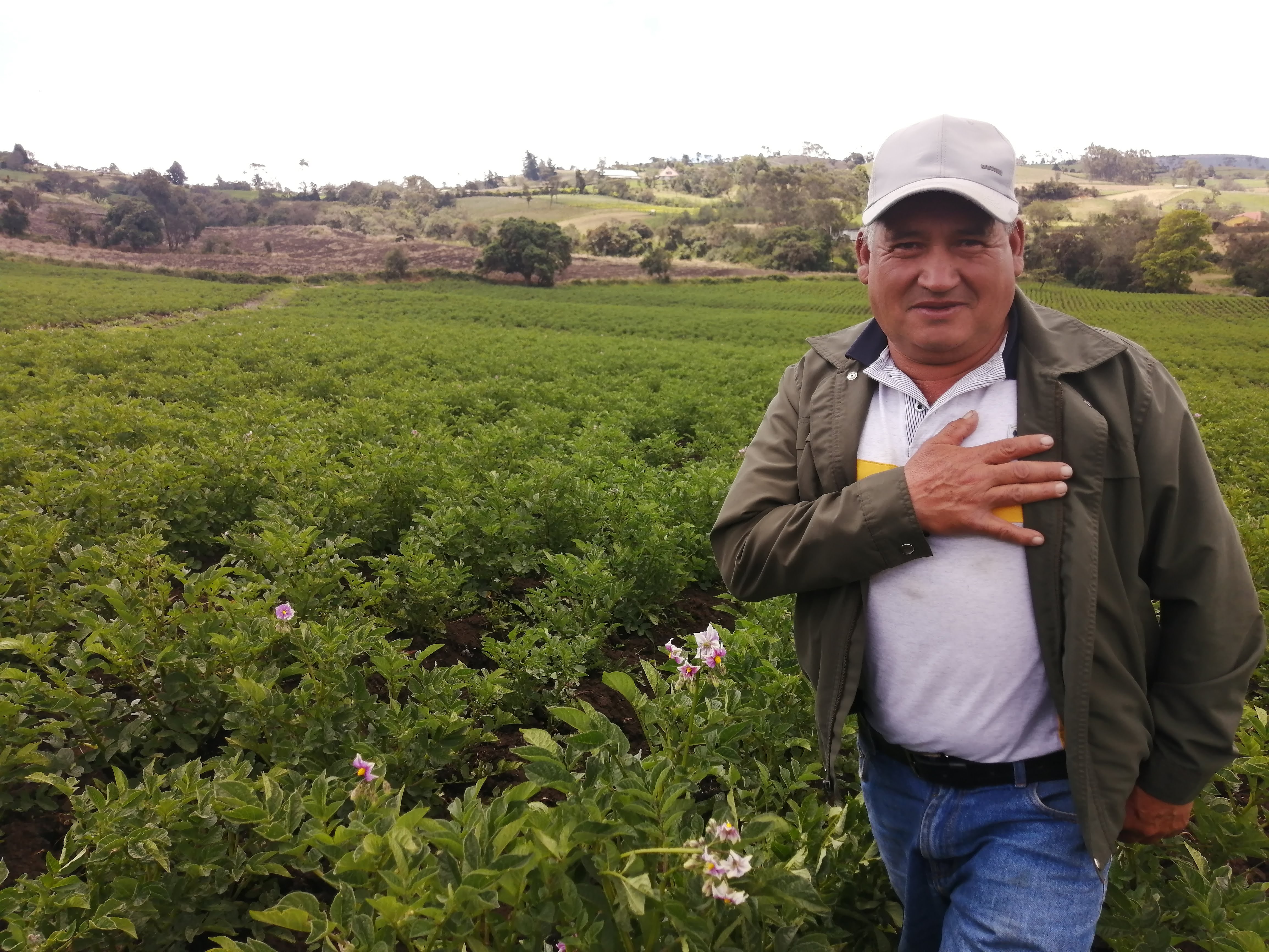 El pulso del planeta Tierra