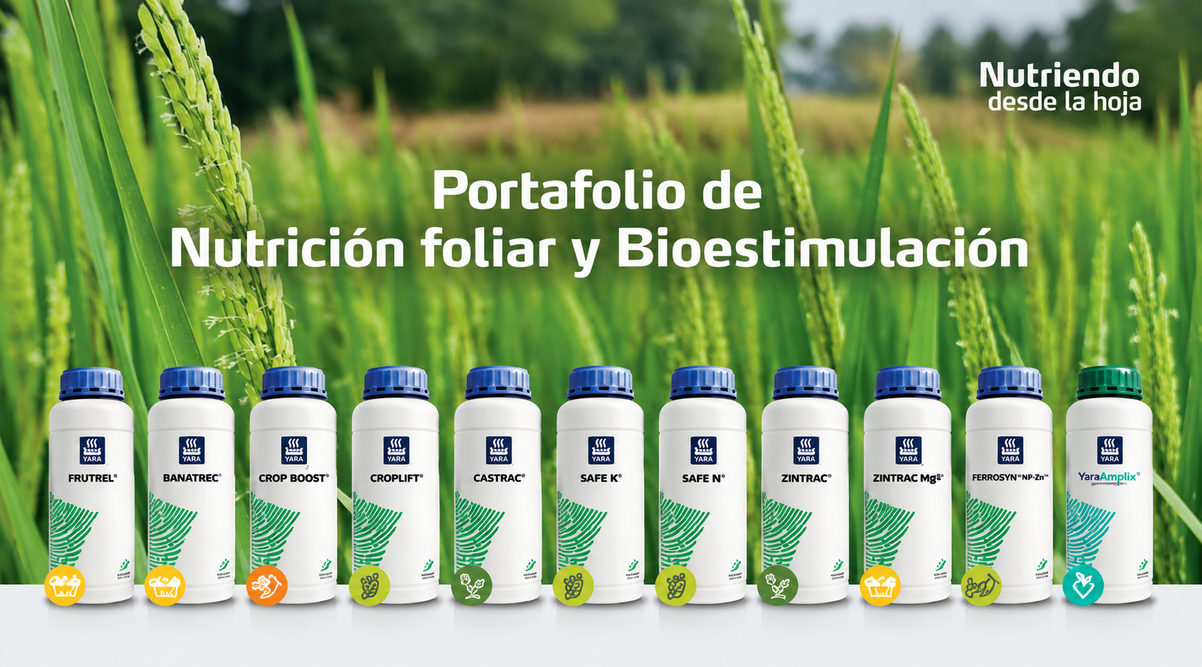 Portafolio Nutrición foliar y Bioestimulación
