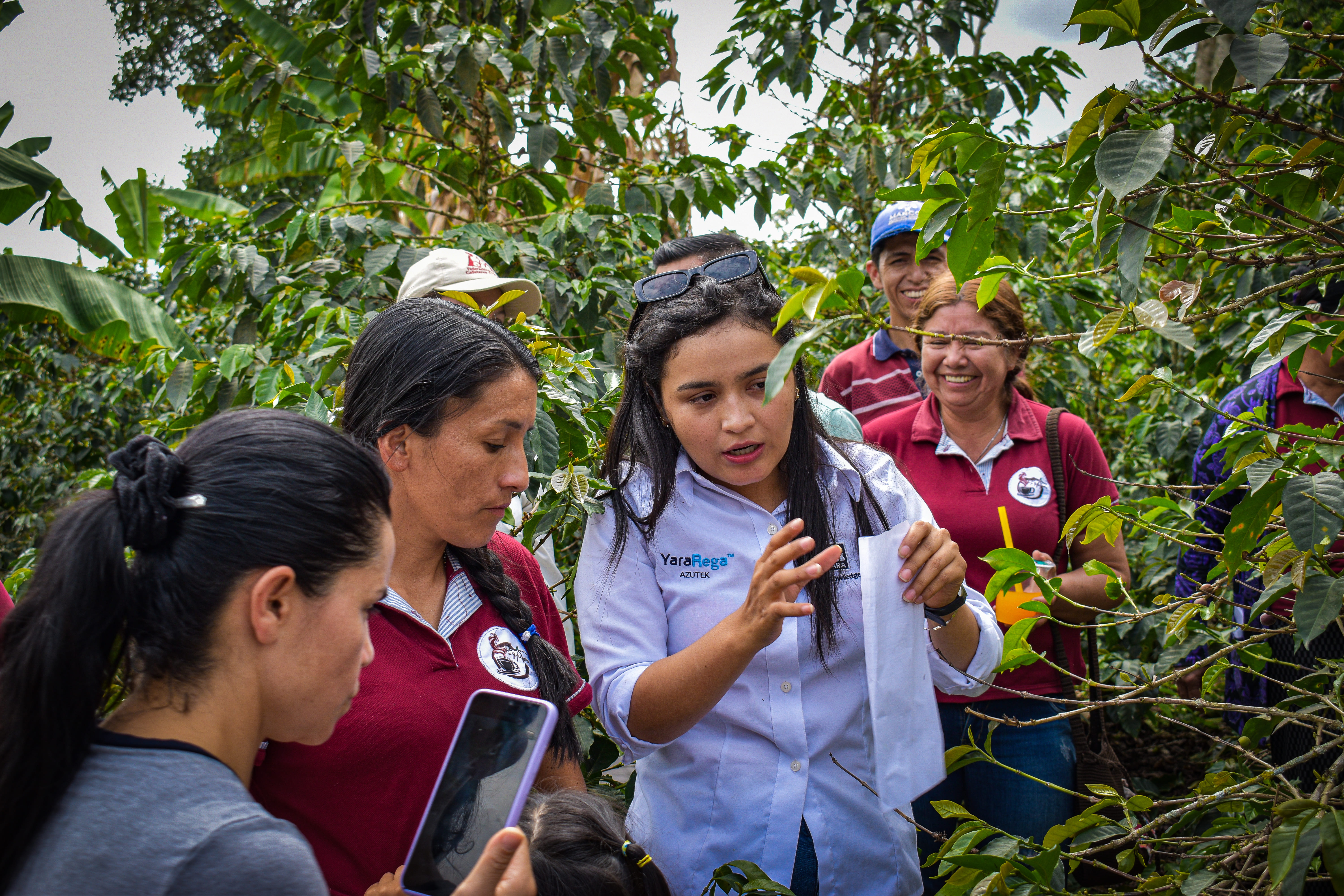 Mujeres cafeteras de SKN