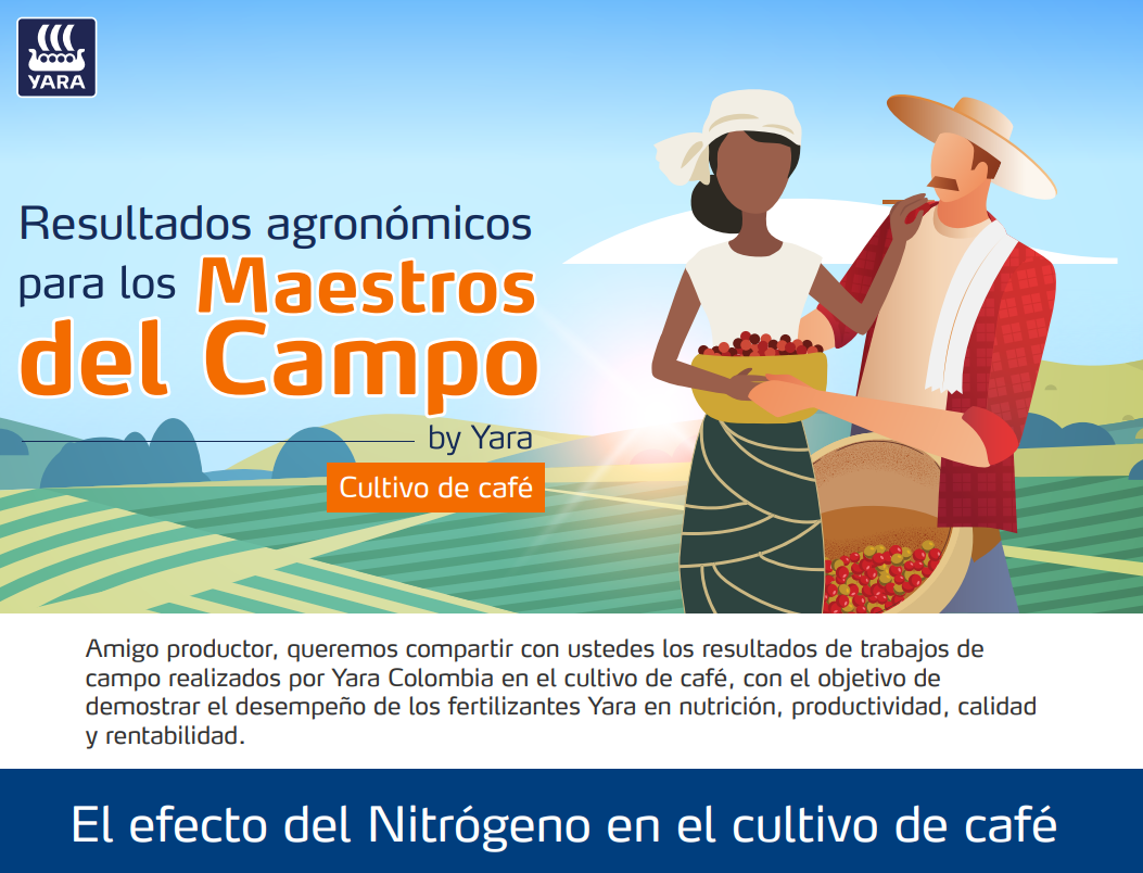 El efecto del Nítrogeno en el cultivo de café